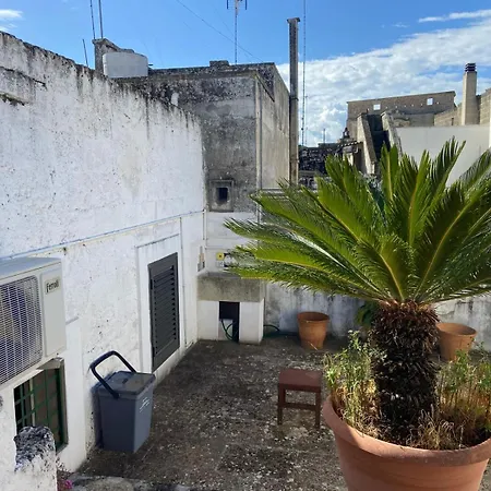 Lejlighed Casa Palma